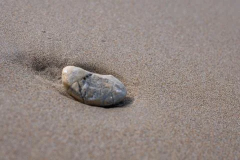 Single Smooth Stone on Sandy Beach Close-Up Stock Photos