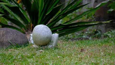 Single Snail stone statue on the grass wide shot 스톡 동영상 108759129