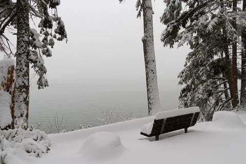 A single snow covered bench looking out over the water Photos