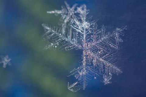 Single snow flake on blue and green background Stock Photos