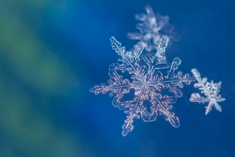 Single snow flake on blue and green background Stock Photos