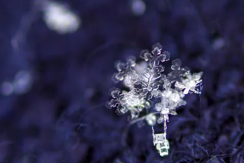 Single snow flake on blue background Stock Photos