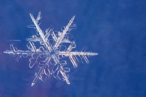 Single snow flake on blue background Stock Photos