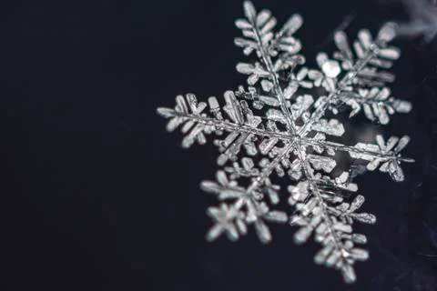 Single snow flake on dark background Stock Photos