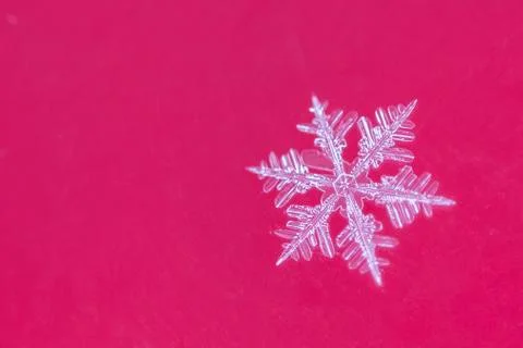 Single snow flake on red background Stock Photos