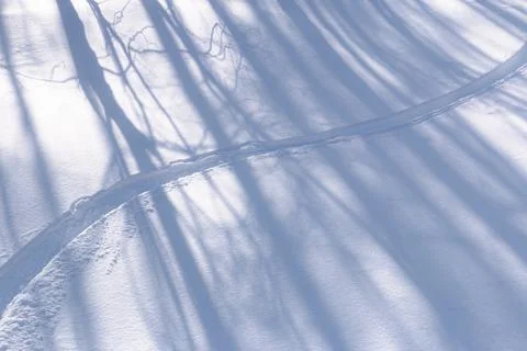 Single snowboard trail through fresh snow tree shadows Stock Photos