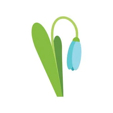 Single snowdrop flower blooming with green leaves Stock Illustration