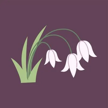 Single snowdrop flower in flat pastel style. Minimal botanical illustration Ilustración de archivo