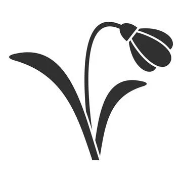 Single snowdrop flower growing with stem and leaves Stock Illustration