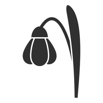 Single snowdrop flower growing with stem and leaf icon Stock Illustration