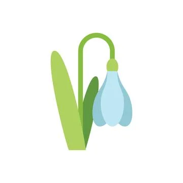 Single snowdrop flower growing with stem and leaves Stock Illustration