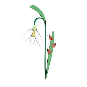 Single snowdrop flower with ladybug vector illustration Stock Illustration