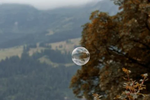 Single soap bubble in nature Stock Photos
