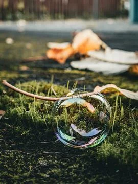 A single soap bubble rests delicately on moss and grass in a natural outdoor Stock Photos
