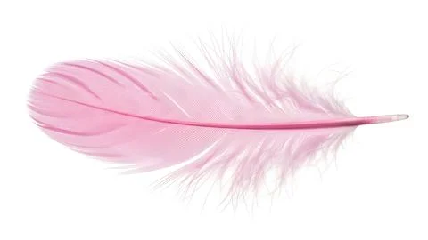 A single soft pink bird feather floating gracefully 스톡 사진