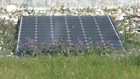 Single Solar Panel Stock Footage 236304756