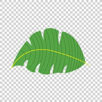 Single Solid Black Silhouette Of A Large Tropical leaf veins Stock Illustration