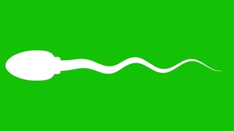 Single Sperm Cell Swimming Animation on Green Screen Stock Footage 317145817