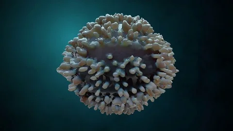 A Single Spinning Bacteria Cell Stock Footage 83064353