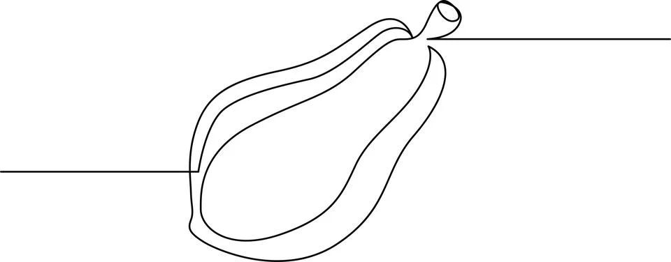 A single squash with a stem, drawn in a simple line art style Vector Stock Illustration