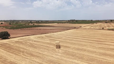 Single stack of hay bales on harvested wheat field viewed from drone Stock Footage 342124543
