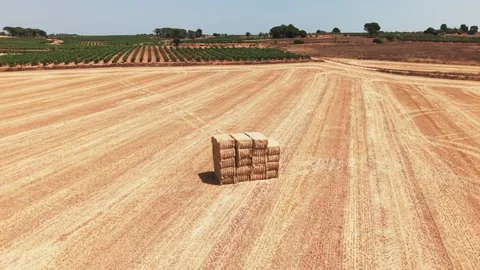 Single stack of hay bales on harvested wheat field viewed from drone Stock Footage 342124563