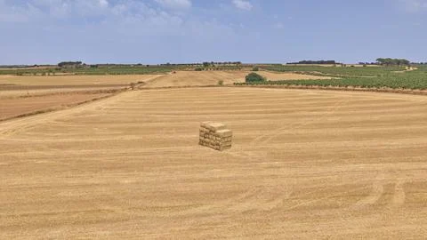 Single stack of hay bales on harvested wheat field viewed from drone Stock Photos