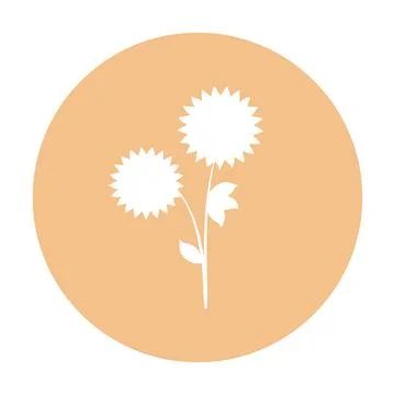 Single stalk with two white cutout flowers in a light orange circle Stock Illustration