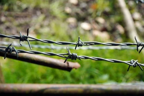 Single strand of barbed wire Fotos de archivo