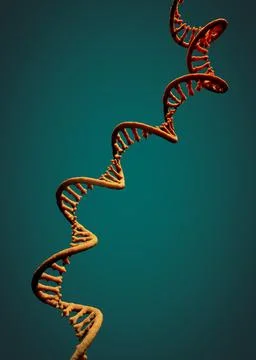 Single-stranded molecule of RNA called messenger ribonucleic acid - 3d illu.. Illustrazione stock