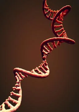 Single-stranded molecule of RNA called messenger ribonucleic acid - 3d illu.. Illustrazione stock