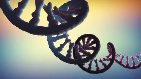 Single-stranded molecule of RNA called messenger ribonucleic acid - 3d illu.. Illustrazione stock