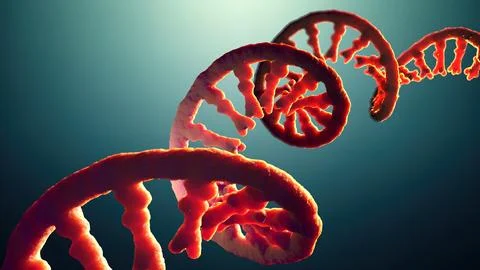 Single-stranded molecule of RNA called messenger ribonucleic acid - 3d illu.. Illustrazione stock