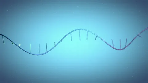 Single-stranded RNA helix transforms into double-stranded DNA, key in genet.. Stock Footage 314287664