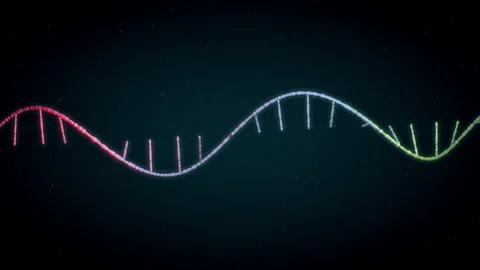 Single-stranded RNA helix transforms into double-stranded DNA, key in genet.. Stock Footage 314775438