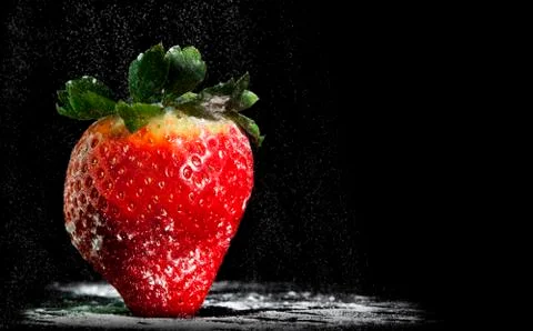 Single Strawberry with a dusting of icing sugar Stock Photos