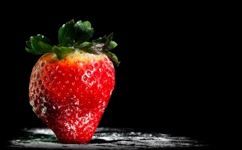 Single Strawberry with a dusting of icing sugar Stock Photos