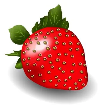 Single strawberry illustration Stock Illustration