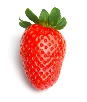Single strawberry Stock Photos