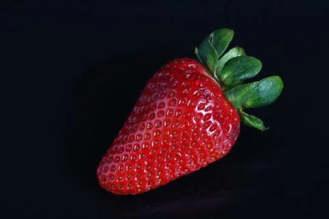 Single strawberry Stock Photos