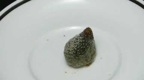 Single strawberry top view close up reverse Stock Footage 21881311