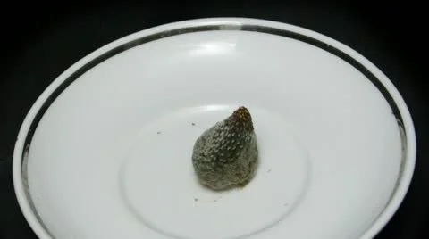 Single strawberry top view reverse Stock Footage 21881298