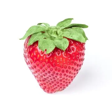 Single strawberry on white background with shadow. Stock Photos