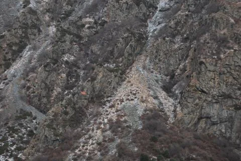 Single structure 库存照片