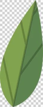 Single stylized botanical leaf is floating as flat vector illustration, with Illustrazione stock