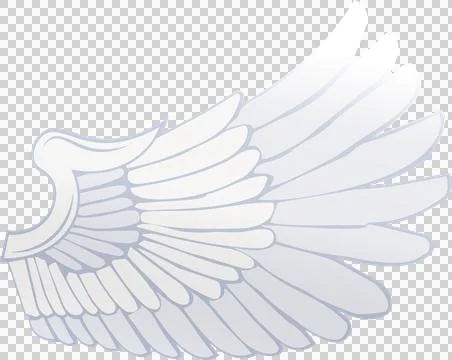 Single stylized wing is floating on transparent background, showing feathers in Stock Illustration
