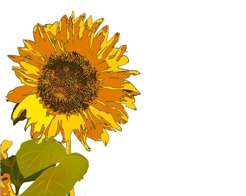 Single Sunflower Stock Illustration