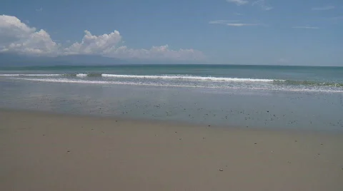 Single surfer is crossing the beach to wards the water Stock Footage 559208