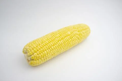 Single sweet corn. fresh corn. isolated on white background Stock Photos