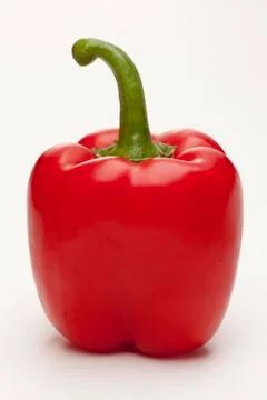Single sweet red pepper Stock Photos